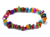 Muschel multicolor