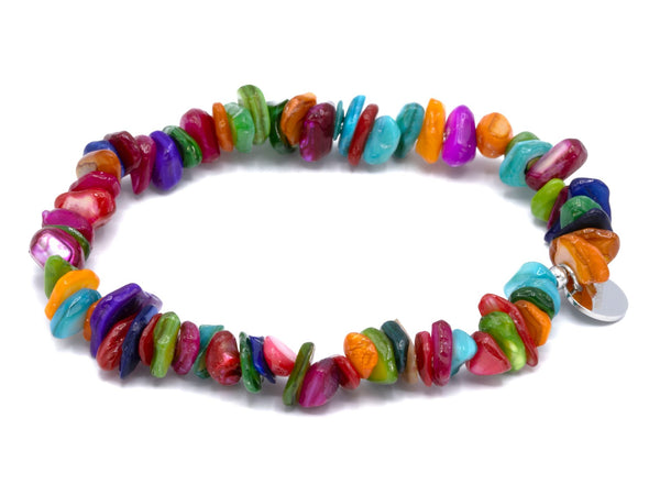 Muschel multicolor